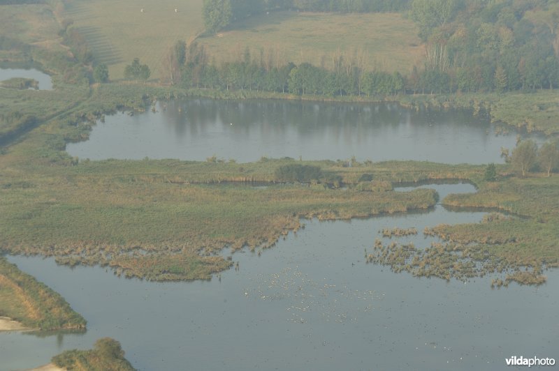 Viconia Kleiputten