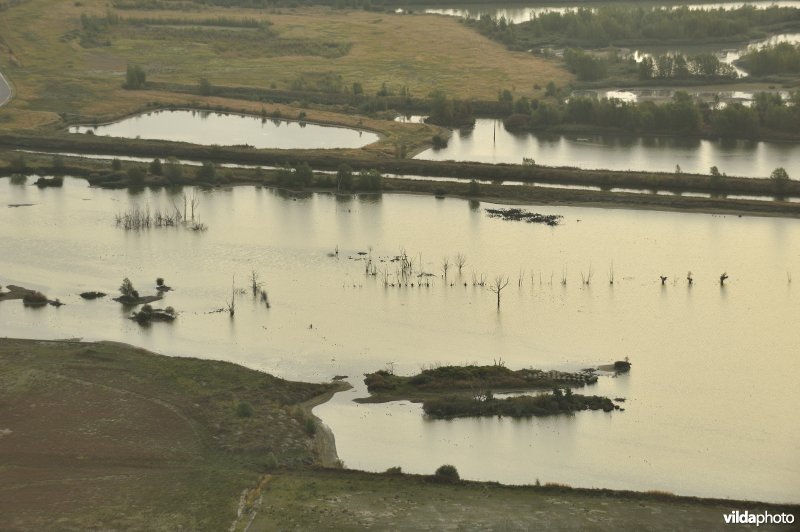 Natuurreservaat Verrebroekse Plassen