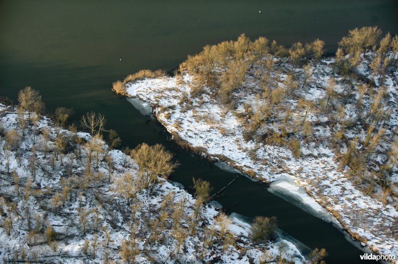 De Biesbosch