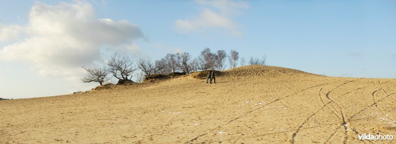 Zandverstuivingslandschap