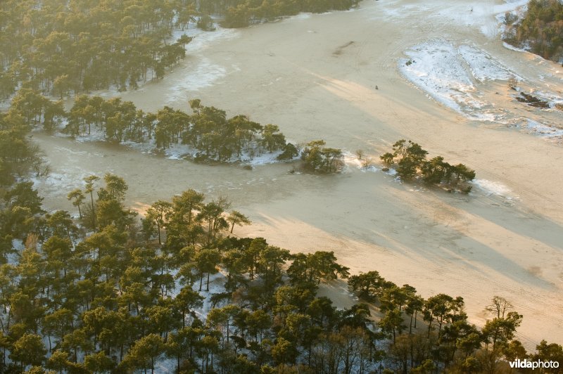 Luchtfoto Loonse en Drunense Duinen