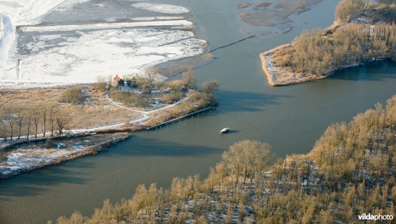 De Biesbosch