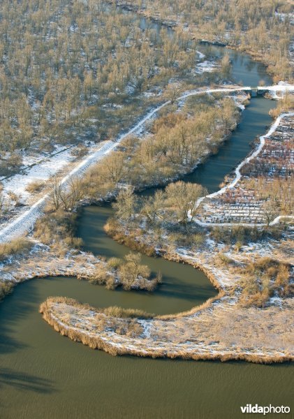De Biesbosch