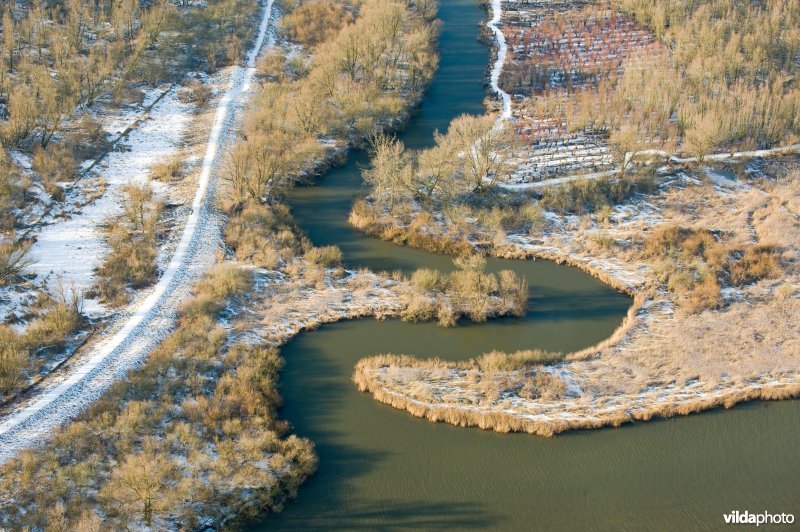 De Biesbosch
