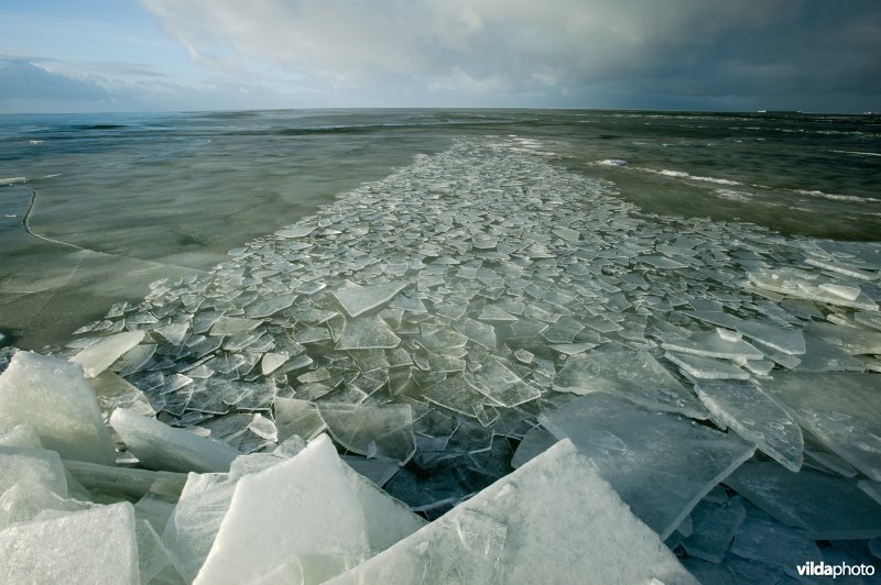 Kruiend ijs aan dijk langs het IJsselmeer