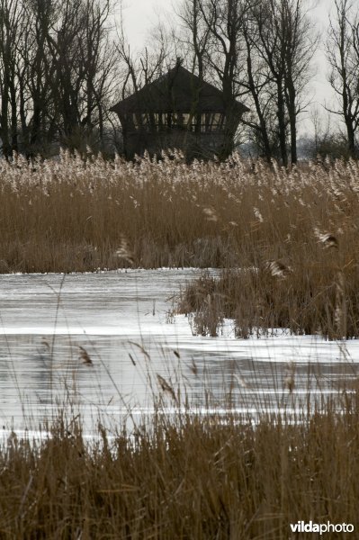 Observatiehut 'De Zeearend' in de Oostvaardersplassen