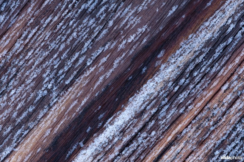 Detail van houten deur