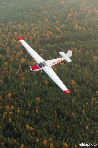 Vliegtuigje boven bos