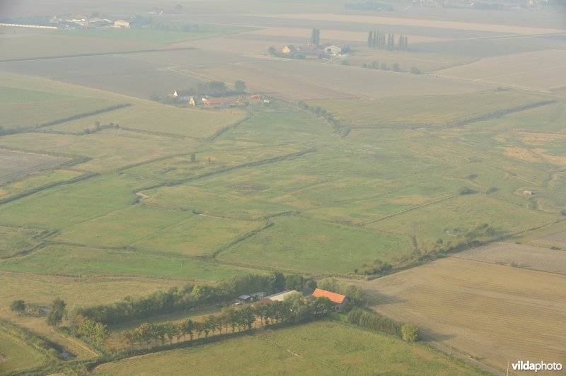 Weidencomplex in 's Heerwillems