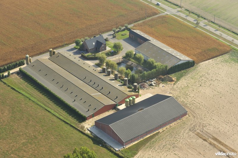 Moderne boerderij