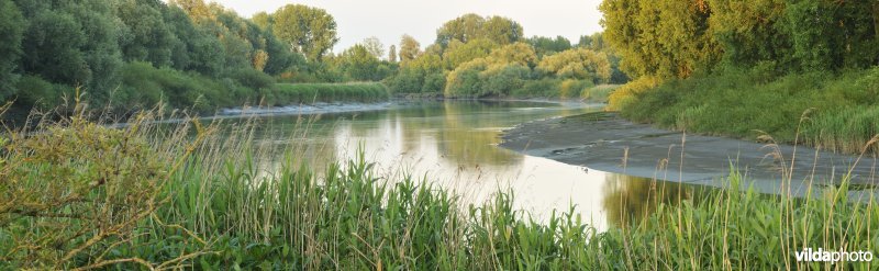 Durme in Waasmunster