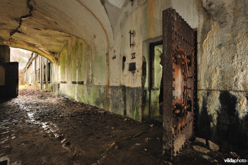 Fort Oelegem