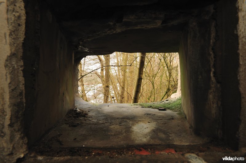 Schietgat in Fort Oelegem