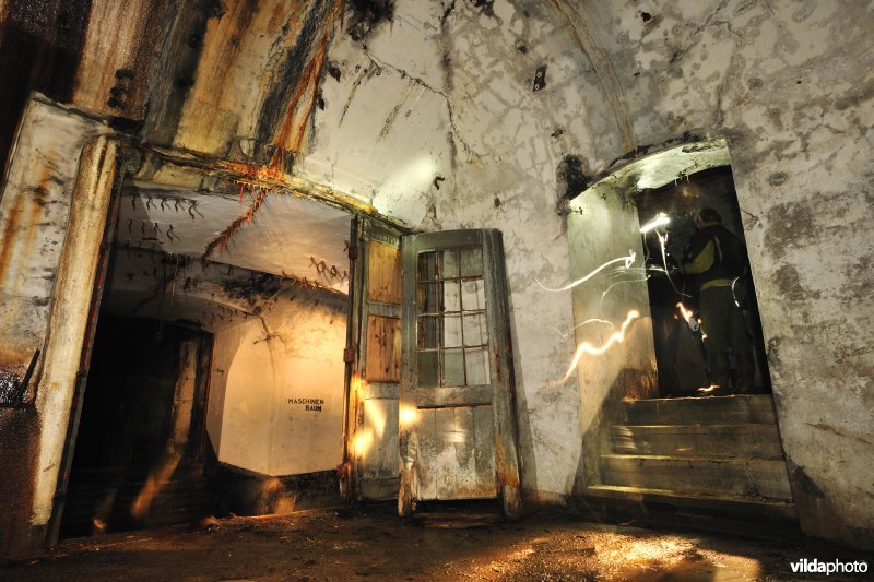 Fort Oelegem