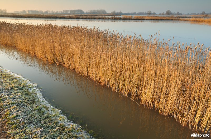 Rillebroeken