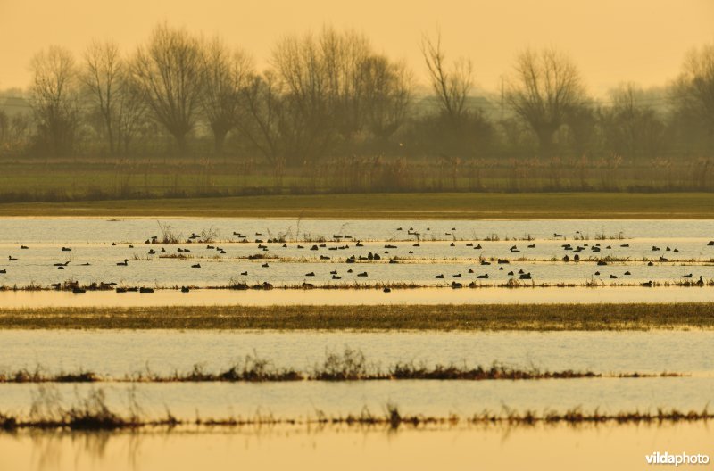 Noordschotebroek