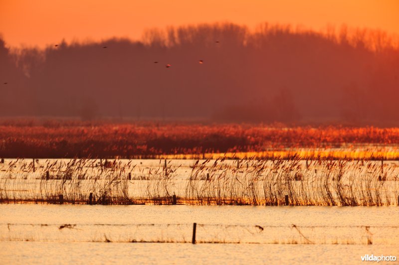 Overstroomde Woumenbroek