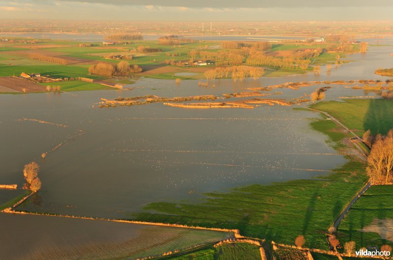 Overstroomde Blankaartvijver