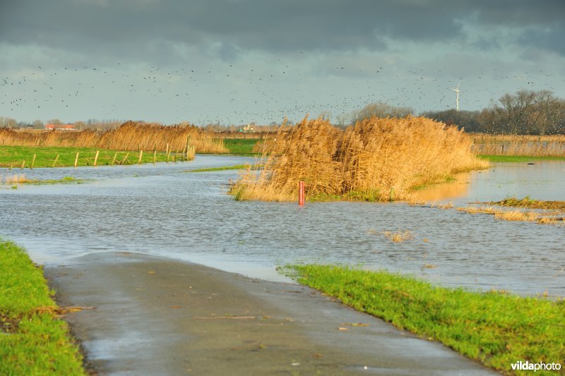 Overstroomde Noordschotebroek