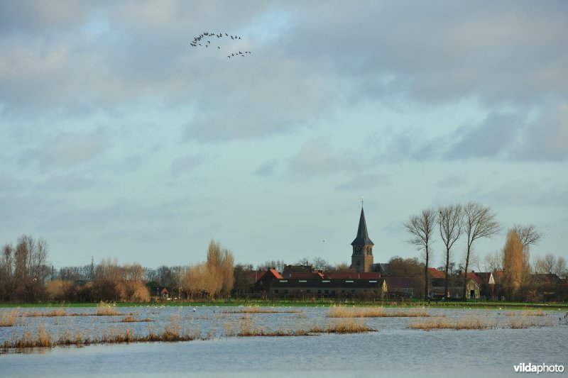 Overstroomde Noordschotebroek