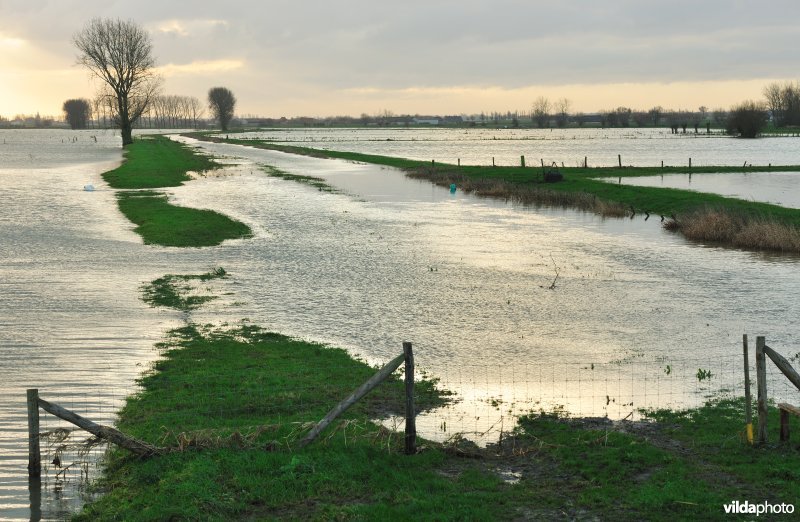 Overstroomde Noordschotebroek