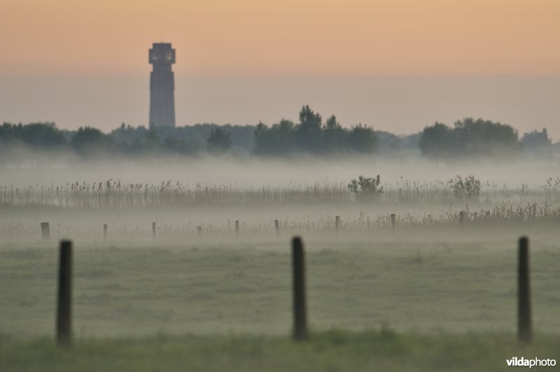 Rillebroeken en IJzertoren