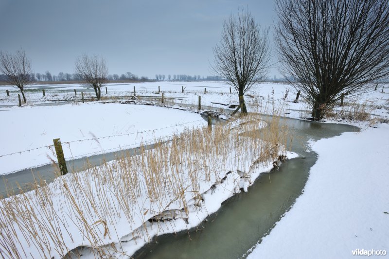 Winterse Rillebroeken