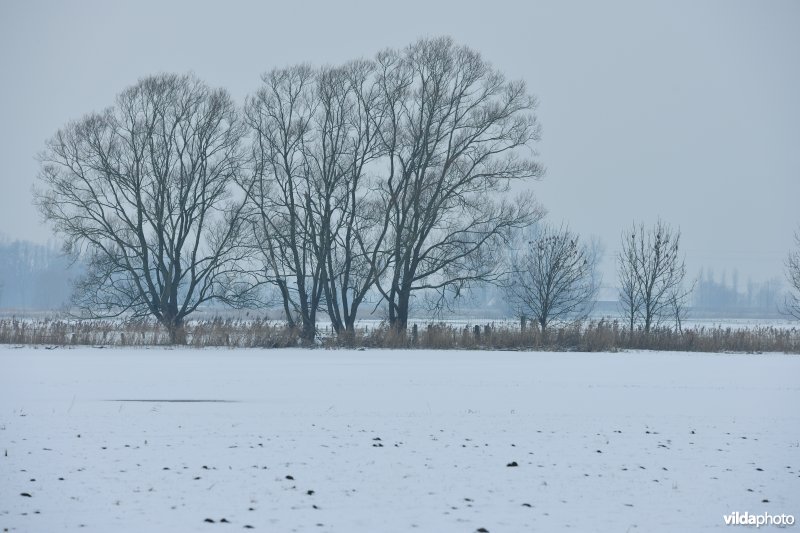 Winterse Rillebroeken
