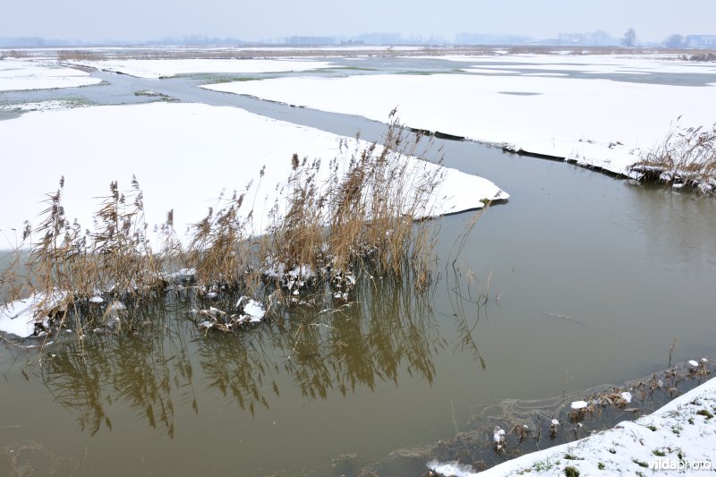 Winterse Rillebroeken