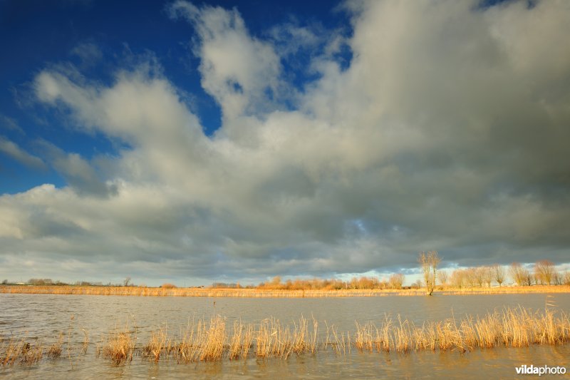 Overstroomde Rillebroeken