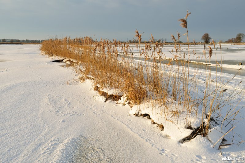 Winterse Merkembroeken