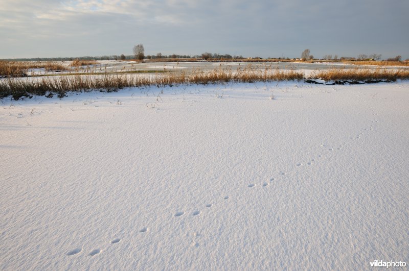 Winterse Merkembroeken