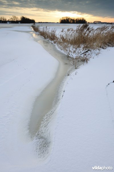 Winterse Merkembroeken