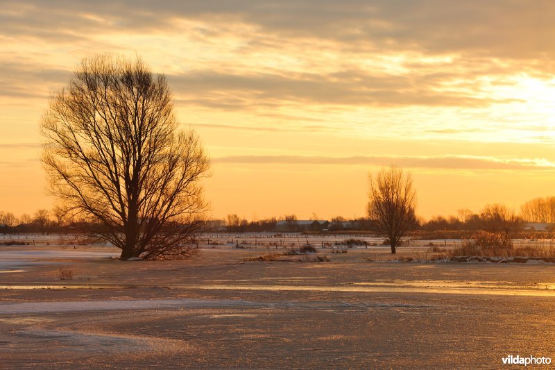 Winterse Merkembroeken