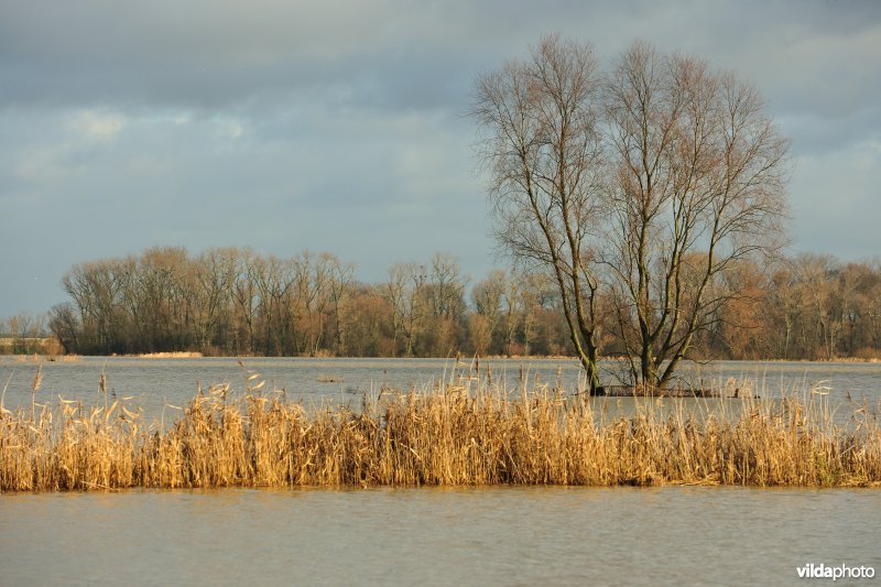 Overstroomde Merkembroeken
