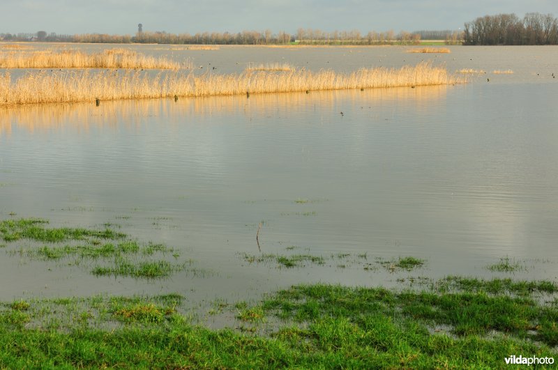 Overstroomde Hoog Broek
