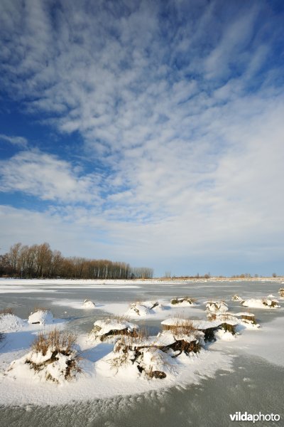 Vijfhuizenbroek