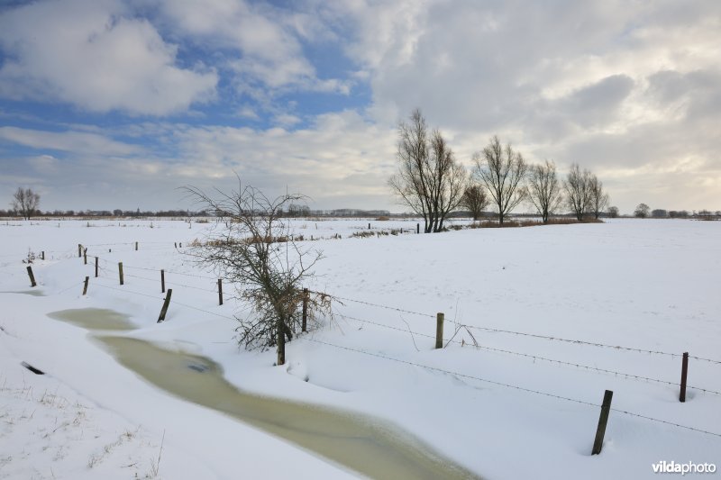 Woumenbroek