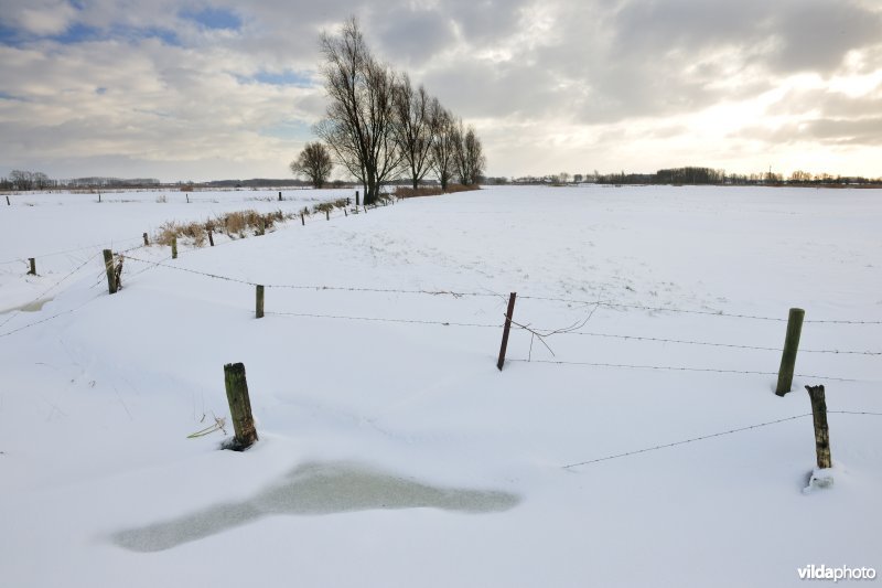 Woumenbroek