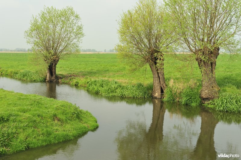 Noordeschotebroek