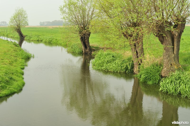 Noordeschotebroek