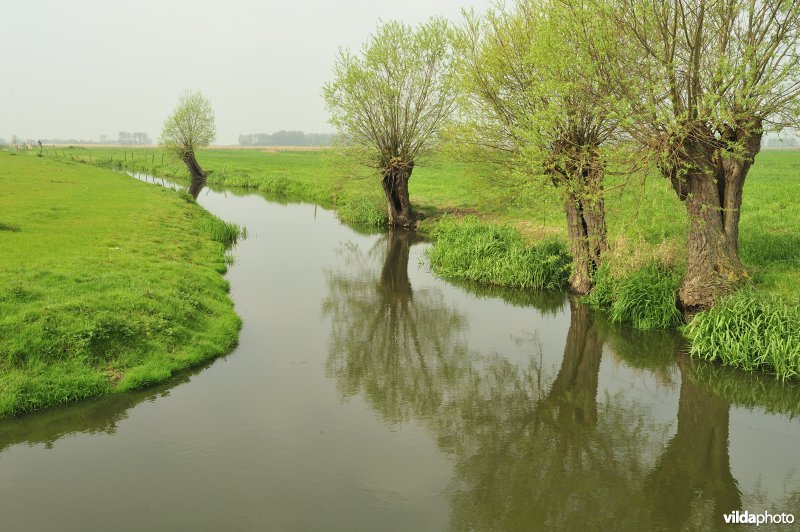 Noordeschotebroek