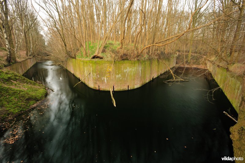Fort Steendorp