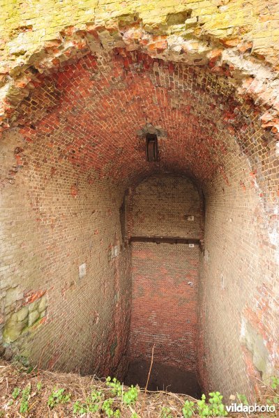Fort Steendorp