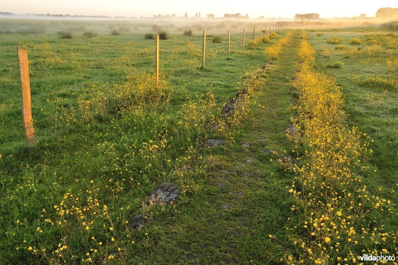 Oud kerkewegeltje aan de Blankaart