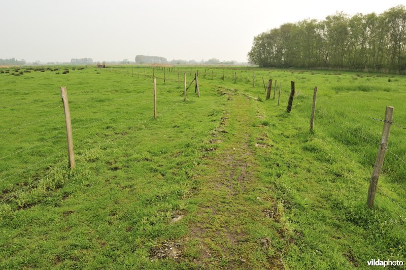 Oud kerkewegeltje aan de Blankaart