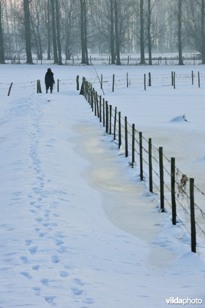 Winters kerkewegeltje aan de Blankaart