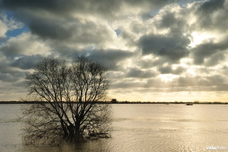 Overstroomde IJzer en Westbroek