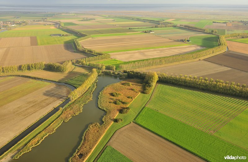 Vlaamsche kreek
