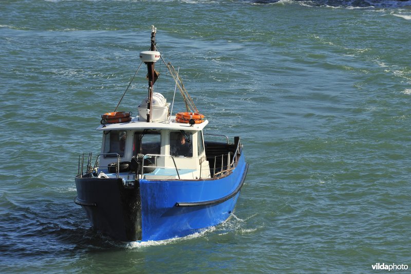 Bootje naar Skomer